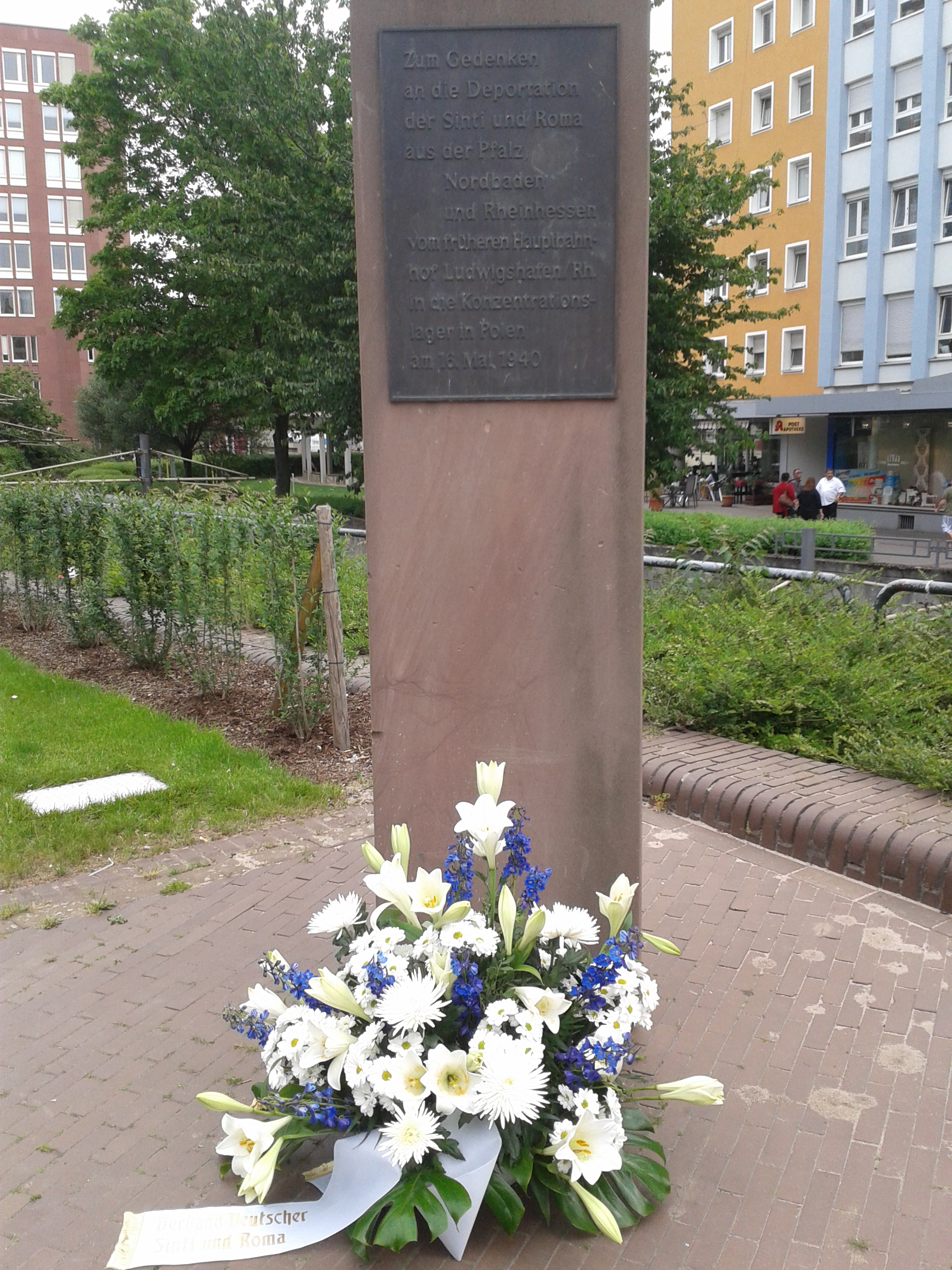 Bild #1