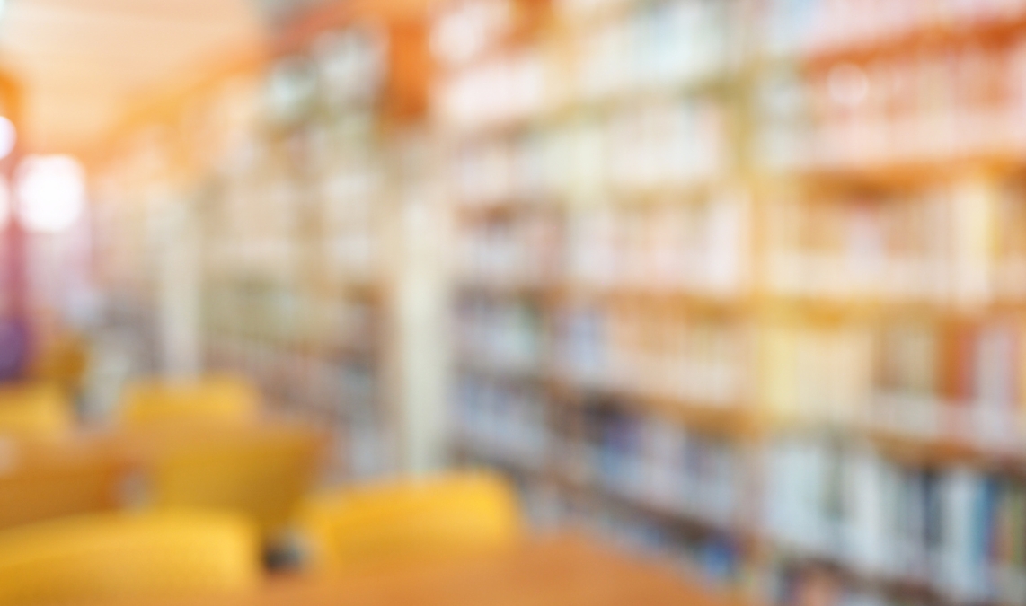 Sensibilisierungsworkshops für Erwachsene